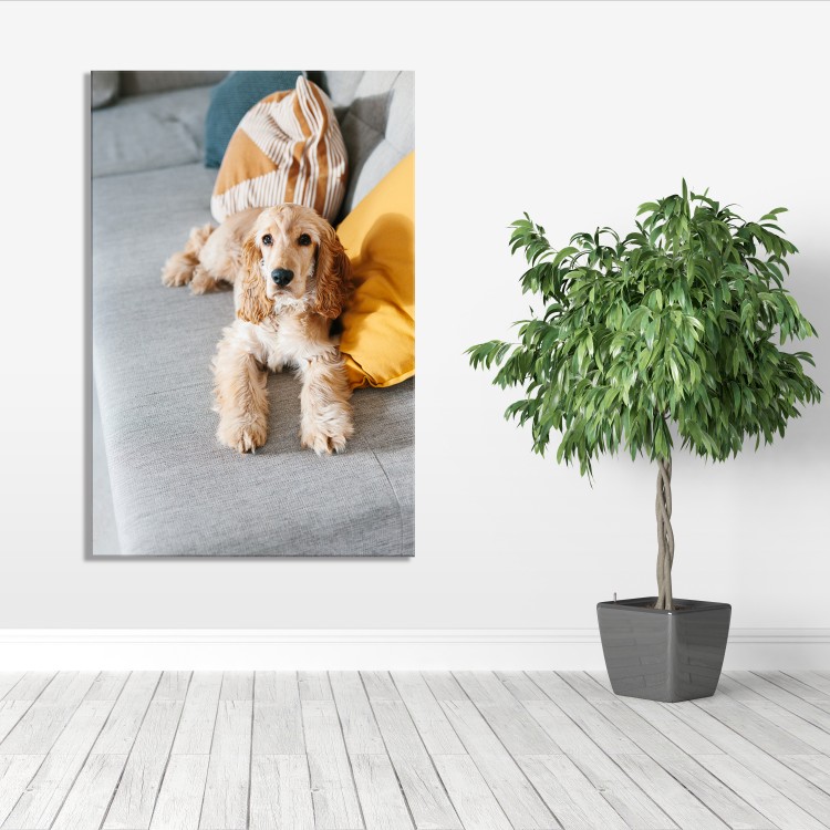 16" x 22" (A2) Canvas